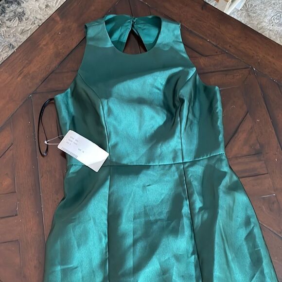 NWT ALFRED SUNG · STYLE D824 · SATIN TWILL - size 10 - Picture 5 of 8